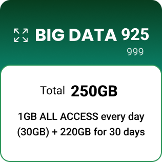 BIG DATA 999 now P925